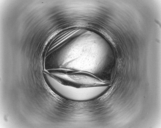 X0000093420939200711021012