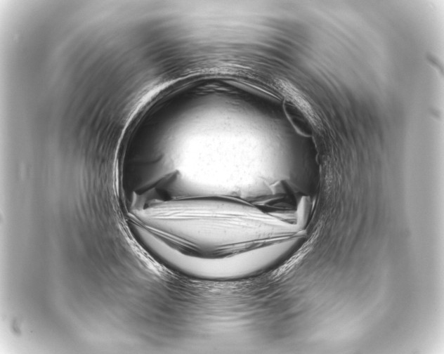 X0000093420940200711021012