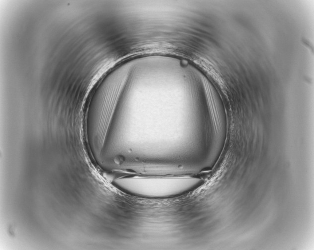 X0000093420941200711021012