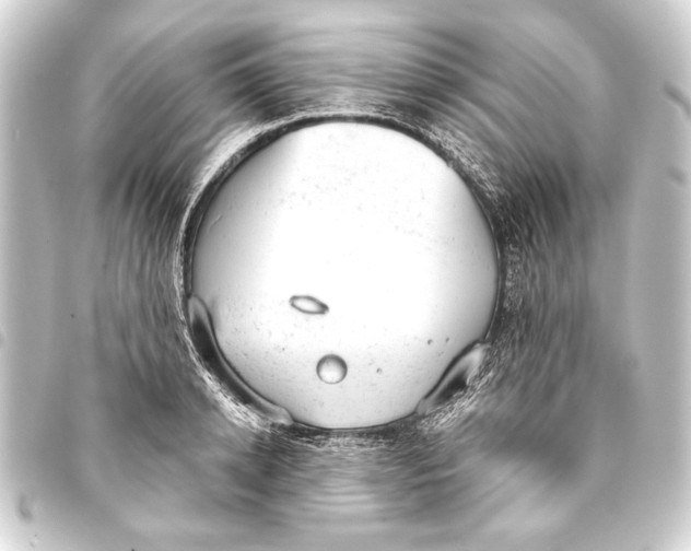 X0000093420942200711021012