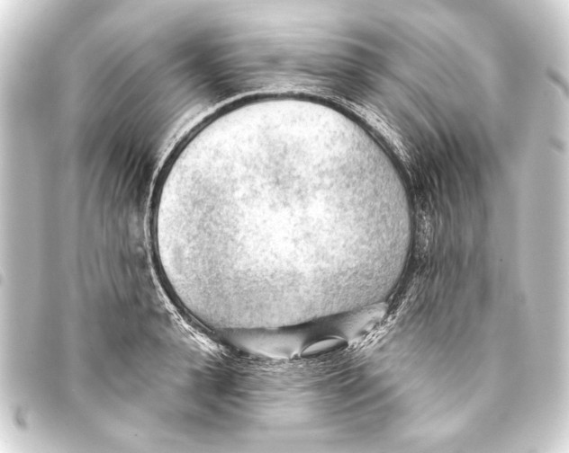 X0000093420943200711021012