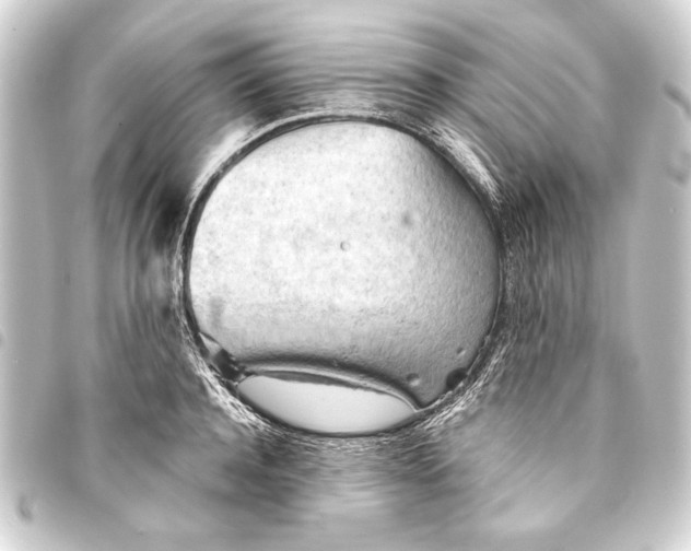 X0000093420944200711021012