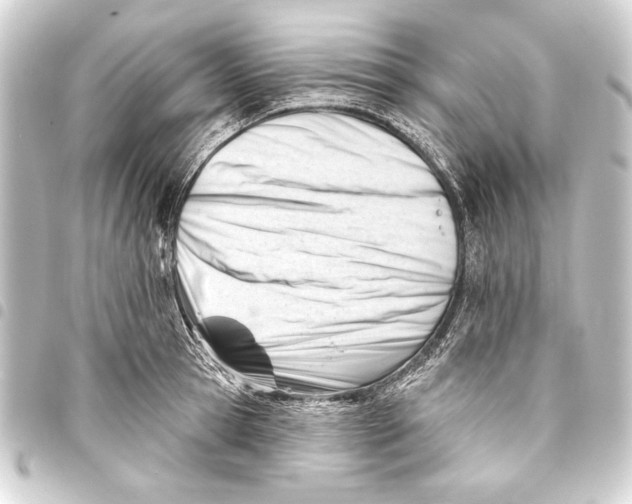 X0000093420945200711021012