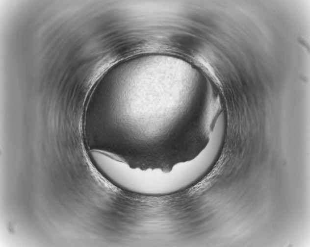 X0000093420946200711021012