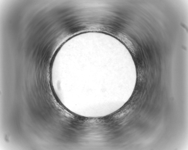 X0000093420950200711021012