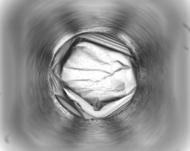 X0000093420952200711021012