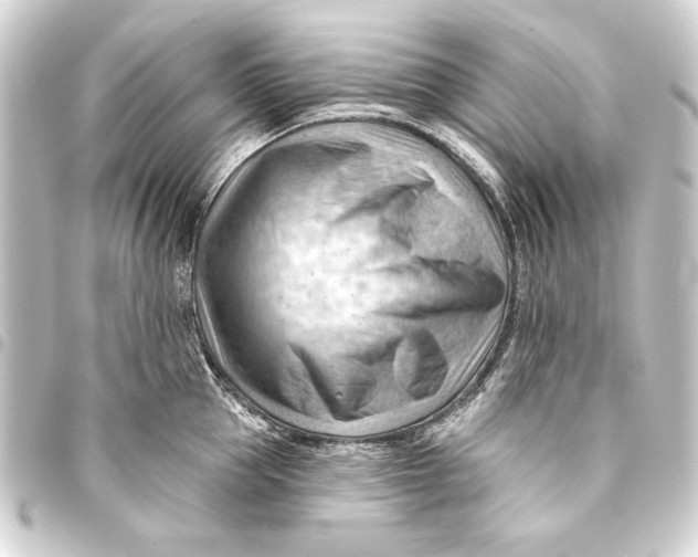 X0000093420953200711021012