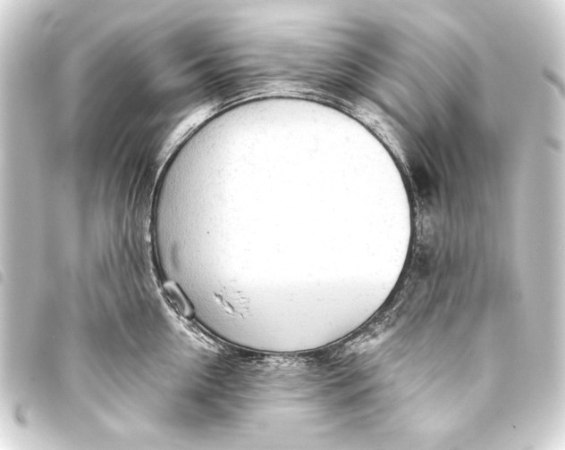 X0000093420954200711021012