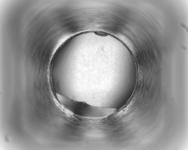 X0000093420958200711021012