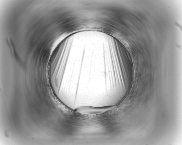 X0000093420960200711021012