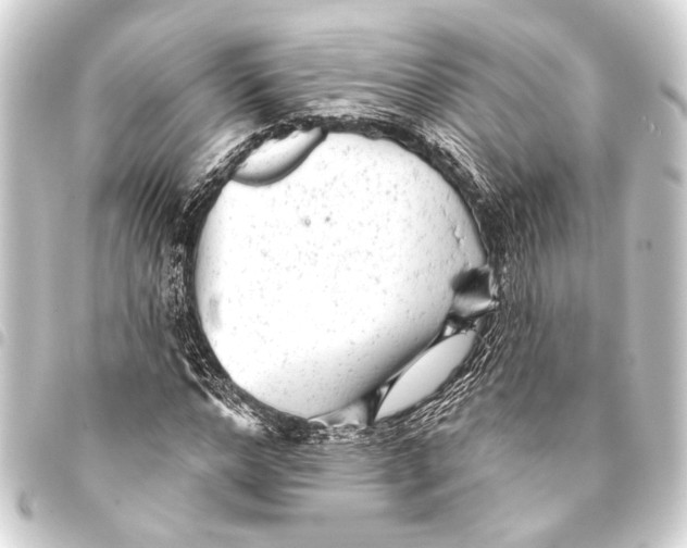 X0000093420968200711021011