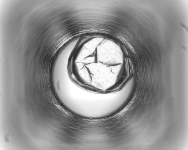 X0000093420969200711021011