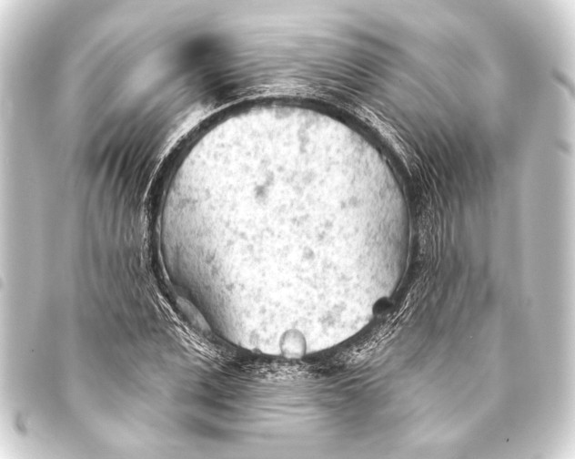 X0000093420975200711021011