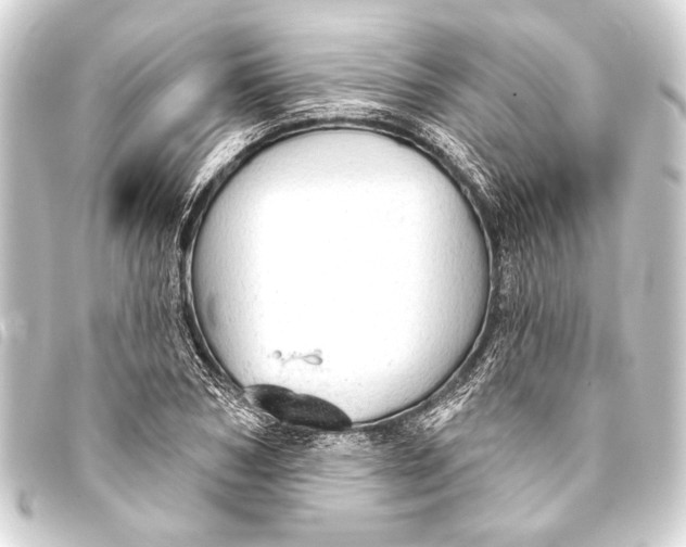 X0000093420978200711021011