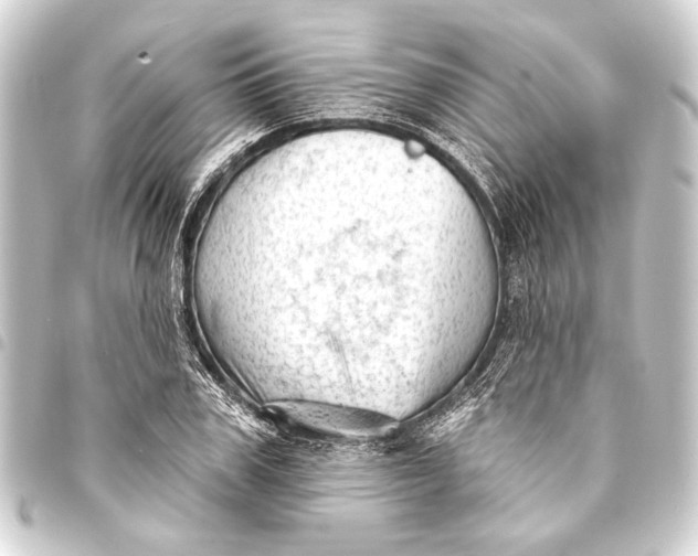 X0000093420979200711021011