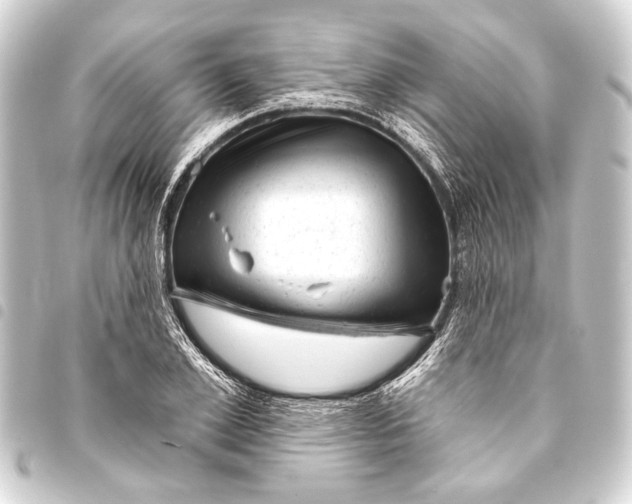 X0000093420981200711021011