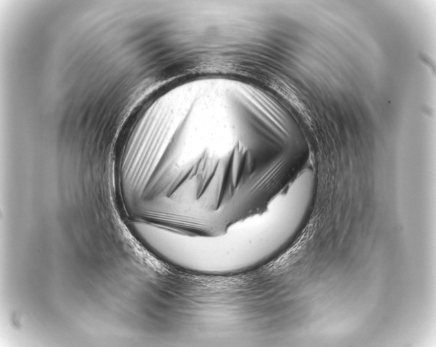 X0000093420984200711021011