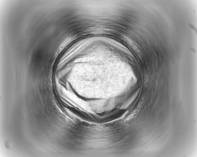 X0000093420986200711021011