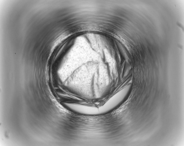 X0000093420987200711021011