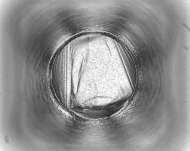 X0000093420990200711021011