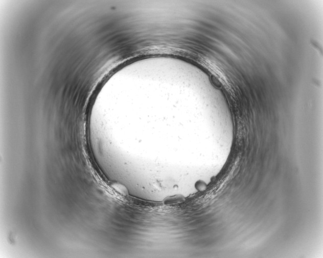 X0000093420992200711021011