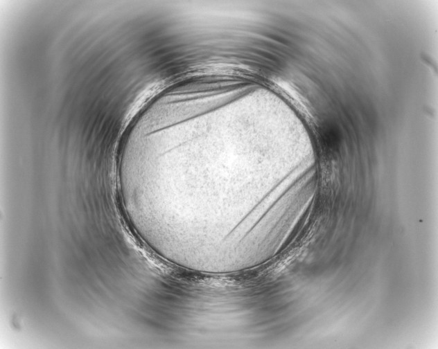 X0000093420994200711021011