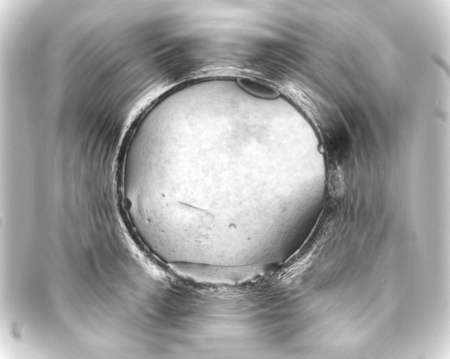 X0000093420995200711021011