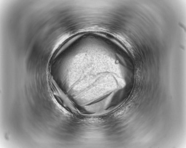 X0000093420998200711021011