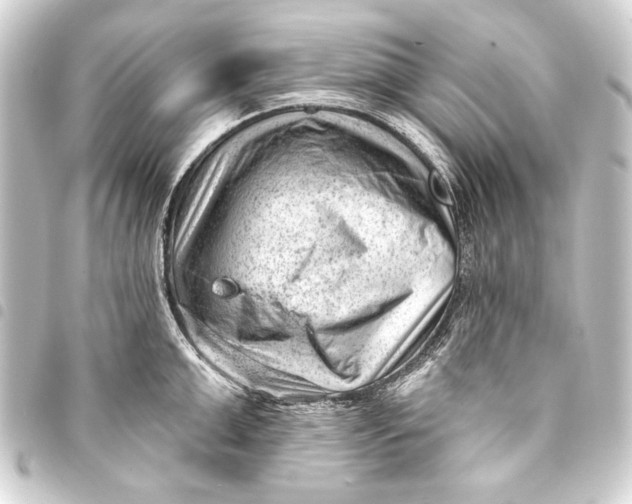 X0000093420999200711021011