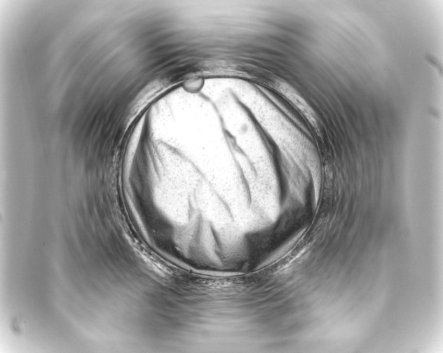 X0000093421002200711021011