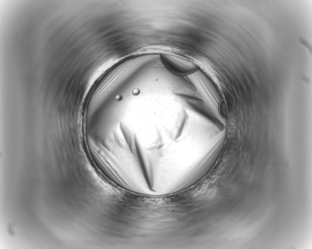 X0000093421003200711021011