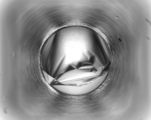 X0000093421005200711021011