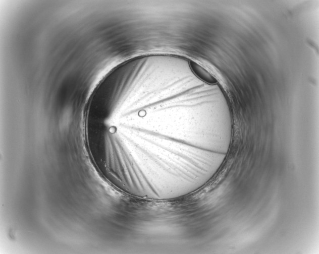 X0000093421006200711021011