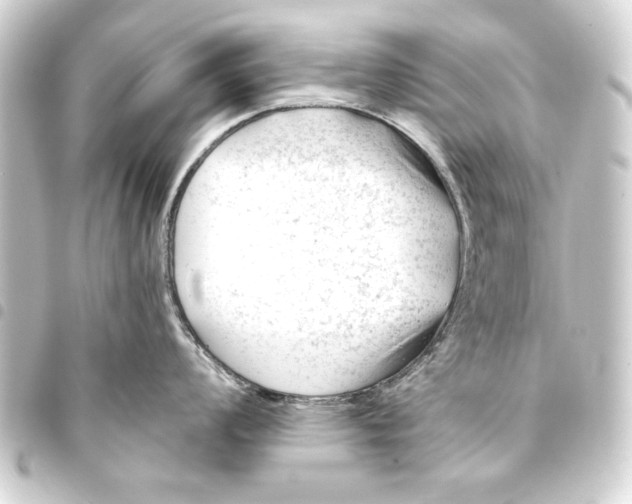 X0000093421008200711021011