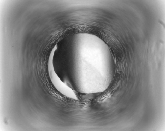 X0000093421010200711021010