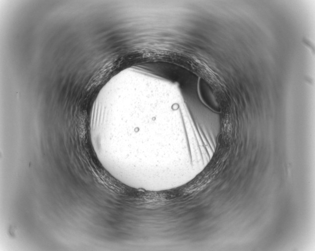 X0000093421012200711021010