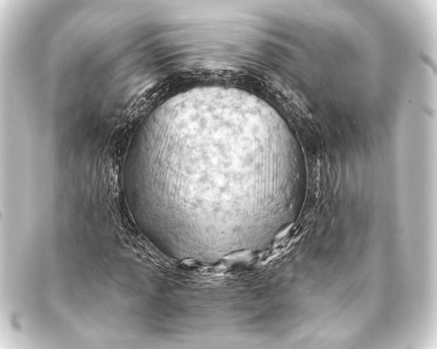 X0000093421013200711021010