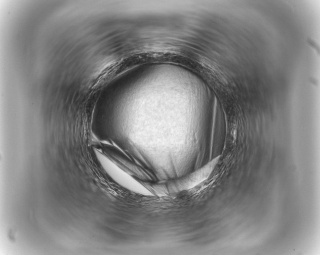 X0000093421014200711021010