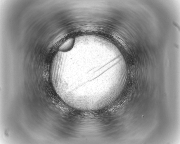 X0000093421015200711021010