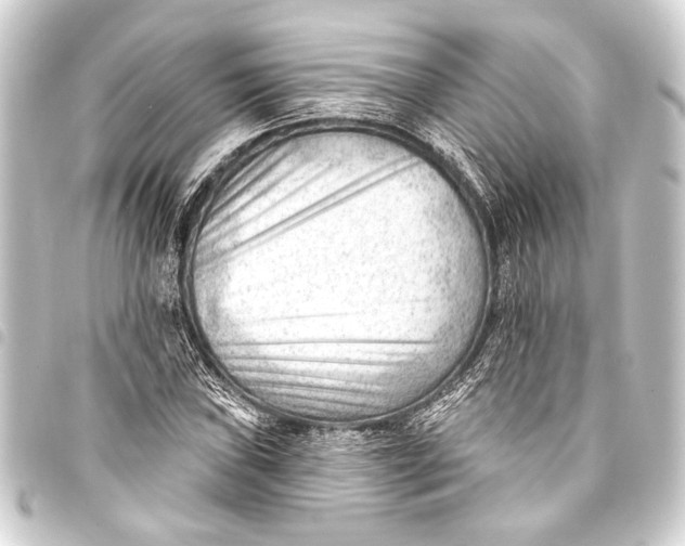 X0000093421019200711021010