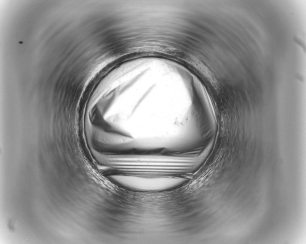 X0000093421020200711021010