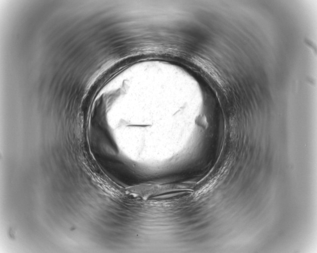 X0000093421021200711021011