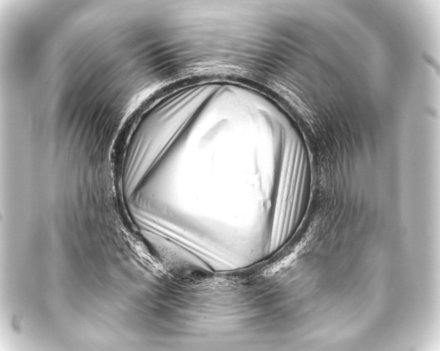 X0000093421022200711021011