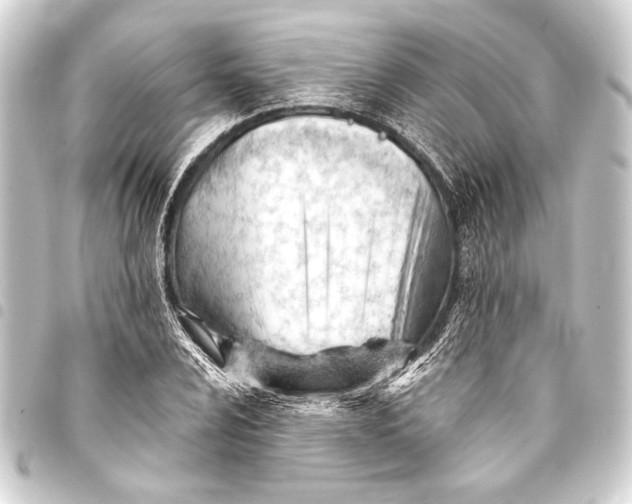 X0000093421024200711021011