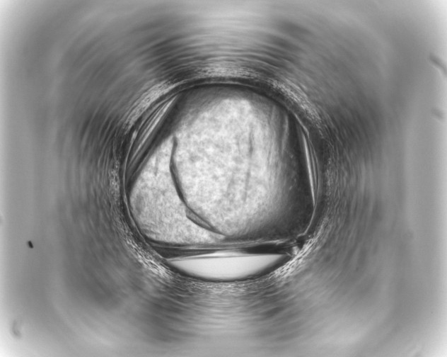 X0000093421025200711021011