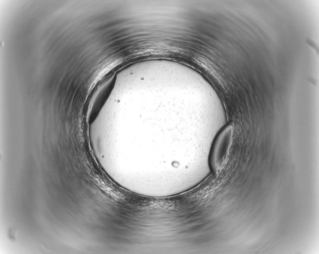 X0000093421026200711021011