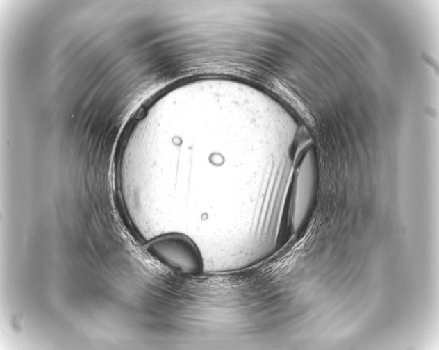 X0000093421028200711021011