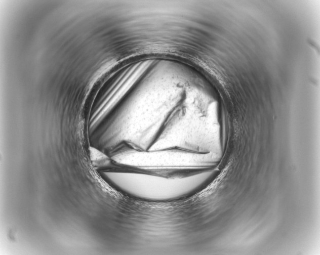 X0000093421029200711021011