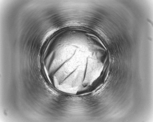 X0000093421030200711021011