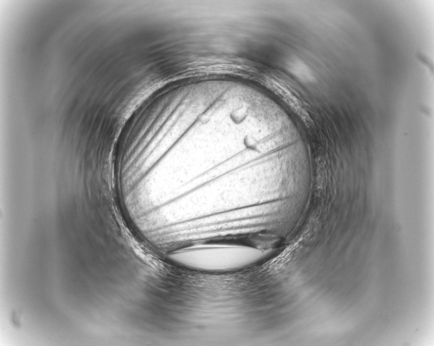 X0000093421031200711021011